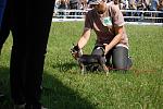     
: DSC_0023.jpg
: 24
:	202.4 
ID:	9880391