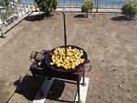     
: 20150524_145621.jpg
: 39
:	226.6 
ID:	9881066