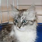     
: OraQk9OXUdQ.jpg
: 178
:	209.6 
ID:	9881763