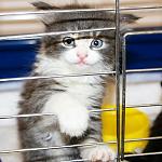     
: tT5c71C46IE.jpg
: 189
:	211.9 
ID:	9881768