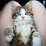     
: PH5BRvOlluA.jpg
: 184
:	144.4 
ID:	9881772