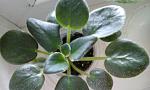     
: 20150518_160501.jpg
: 9
:	89.1 
ID:	9882215