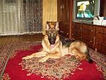     
: Изображение 144.jpg
: 73
:	110.5 
ID:	9884669