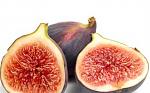     
: image2584.jpg
: 24
:	69.2 
ID:	9885887
