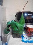     
: 20150525220758.jpg
: 9
:	79.8 
ID:	9887225