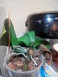     
: 20150525220747.jpg
: 5
:	86.8 
ID:	9887227
