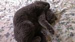     
: 2015-05-06 18.13.34.jpg
: 4
:	101.6 
ID:	9888068