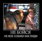     
: ____7730a5133fb5.jpg
: 6
:	38.3 
ID:	9888535