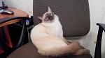     
: 20150525202728.jpg
: 14
:	117.3 
ID:	9892302