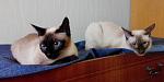     
: 20150524101746 - копия.jpg
: 16
:	89.9 
ID:	9892330