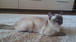     
: 20150107_132013.jpg
: 16
:	98.4 
ID:	9892355
