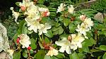     
: DSC04917.JPG
: 9
:	243.8 
ID:	9893600