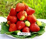     
: 022995517.jpg
: 111
:	117.8 
ID:	9894182