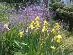     
: 20150527_123153.jpg
: 23
:	296.0 
ID:	9894610