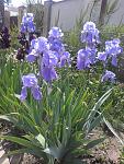     
: 20150527_123010.jpg
: 21
:	178.0 
ID:	9894614