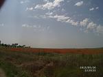     
: MVI02726.jpg
: 325
:	91.7 
ID:	9894736