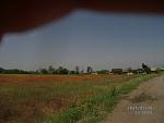     
: MVI02728.jpg
: 302
:	93.9 
ID:	9894738