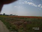     
: MVI02729.jpg
: 289
:	105.7 
ID:	9894741