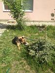     
: fwQbqVFT1Lo.jpg
: 5
:	111.2 
ID:	9898011