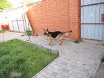     
: 25hDyCviVzo.jpg
: 4
:	77.9 
ID:	9898012