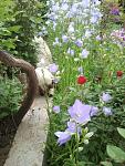     
: 2015-05-28 08.03.23.jpg
: 7
:	153.6 
ID:	9898589
