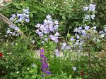     
: 2015-05-28 08.01.18.jpg
: 5
:	241.4 
ID:	9898590