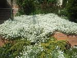     
: 2015-05-14 15.28.43.jpg
: 8
:	292.5 
ID:	9898591