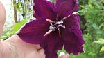     
: DSC06283.jpg
: 8
:	79.9 
ID:	9898713