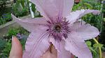     
: DSC06282.jpg
: 7
:	95.4 
ID:	9898718