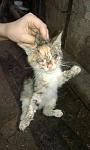     
: 2S4kUgdbzlo.jpg
: 36
:	107.6 
ID:	9898799
