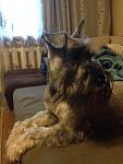     
: 4hXnjeupFUg.jpg
: 12
:	51.6 
ID:	9899097