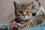     
: DSC05502.jpg
: 17
:	120.4 
ID:	9900161