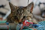     
: DSC05501.jpg
: 19
:	122.2 
ID:	9900162