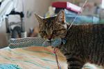     
: DSC05507.jpg
: 20
:	122.1 
ID:	9900163