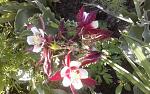    
: 20150525_075033.jpg
: 16
:	153.8 
ID:	9900252