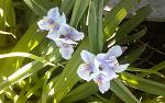     
: 20150525_075000.jpg
: 14
:	105.1 
ID:	9900256