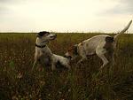     
: IMG_3207.jpg
: 89
:	136.1 
ID:	9901048
