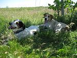     
: IMG_2222.jpg
: 91
:	302.1 
ID:	9901049