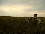     
: IMG_3209.jpg
: 87
:	107.1 
ID:	9901050