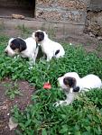     
: IMG_20150511_124137.jpg
: 77
:	119.2 
ID:	9901053
