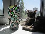     
: IMG_9231.jpg
: 152
:	164.6 
ID:	9901989
