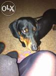     
: p5M8Pw-cW7I.jpg
: 13
:	13.4 
ID:	9902451