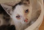     
: 7_De2yfw4lw.jpg
: 43
:	119.1 
ID:	9902809
