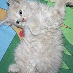     
: trPKUsj9N3Q.jpg
: 12
:	187.8 
ID:	9906359
