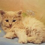     
: 1VggUweFL6g.jpg
: 13
:	126.1 
ID:	9906361