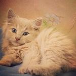     
: jwv9U-HDbQE.jpg
: 11
:	119.2 
ID:	9906362