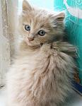     
: EzCrJnVgaQQ.jpg
: 12
:	111.9 
ID:	9906363