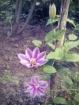     
: 30.05.15 - 31.jpg
: 10
:	158.4 
ID:	9909795