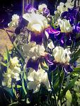     
: 24.05.15 - 11.jpg
: 9
:	159.9 
ID:	9909796