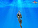     
: normal_Actresses_003.jpg
: 9
:	49.8 
ID:	9911851